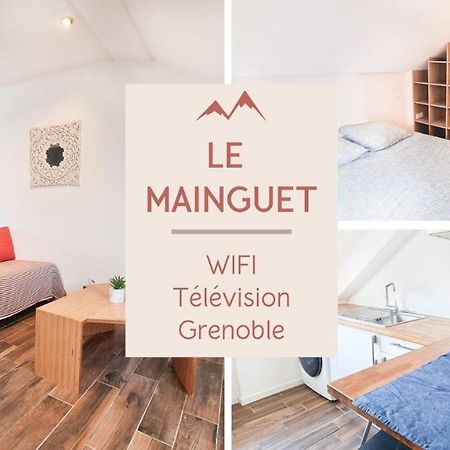 Le Mainguet - Appartement Cosy - Grenoble Exteriér fotografie