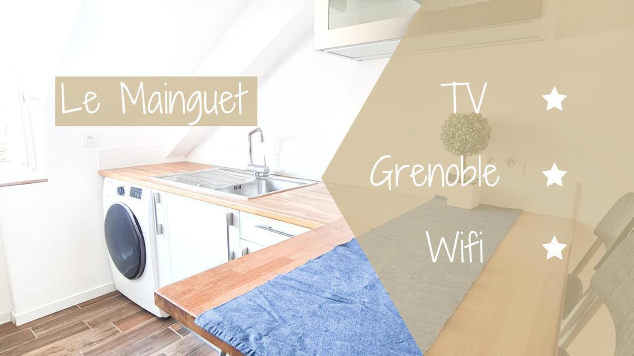 Le Mainguet - Appartement Cosy - Grenoble Exteriér fotografie